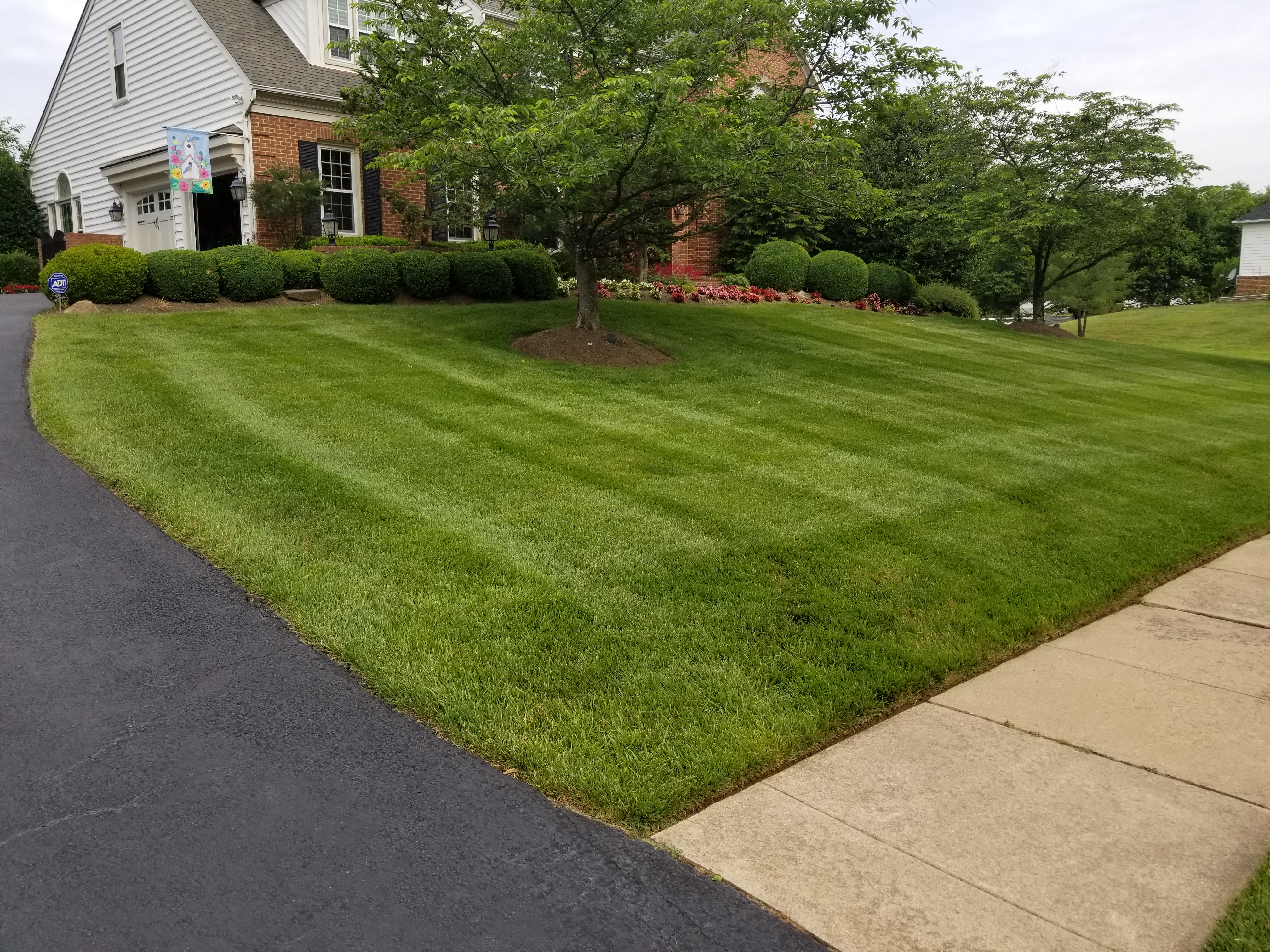 Lawn Care